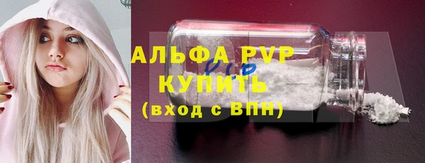 ешки Богданович